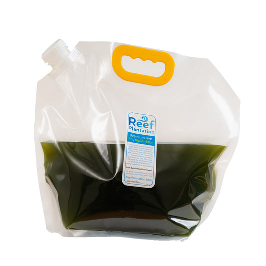 Nannochloropsis- Single Species